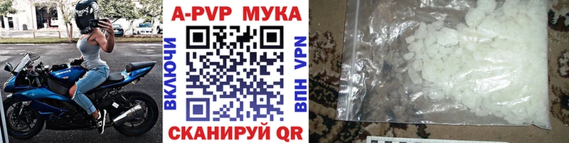 A PVP СК  Назрань 