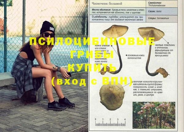 дживик Абдулино