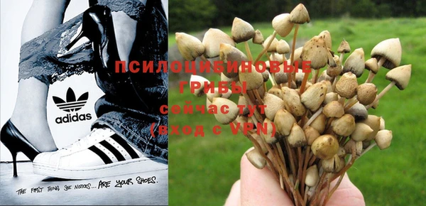 дживик Абдулино