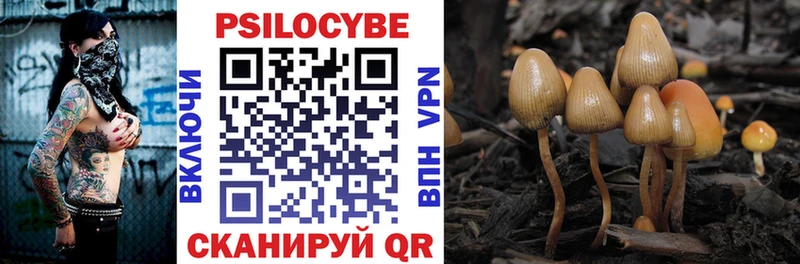 магазин продажи наркотиков  Назрань  МЕГА ссылка  Псилоцибиновые грибы Psilocybine cubensis 