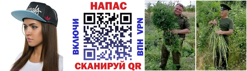 Шишки марихуана индика Назрань
